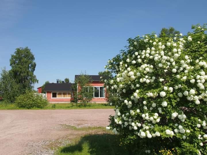 B&B Villa Helmi Ala-Temmes Exteriér fotografie